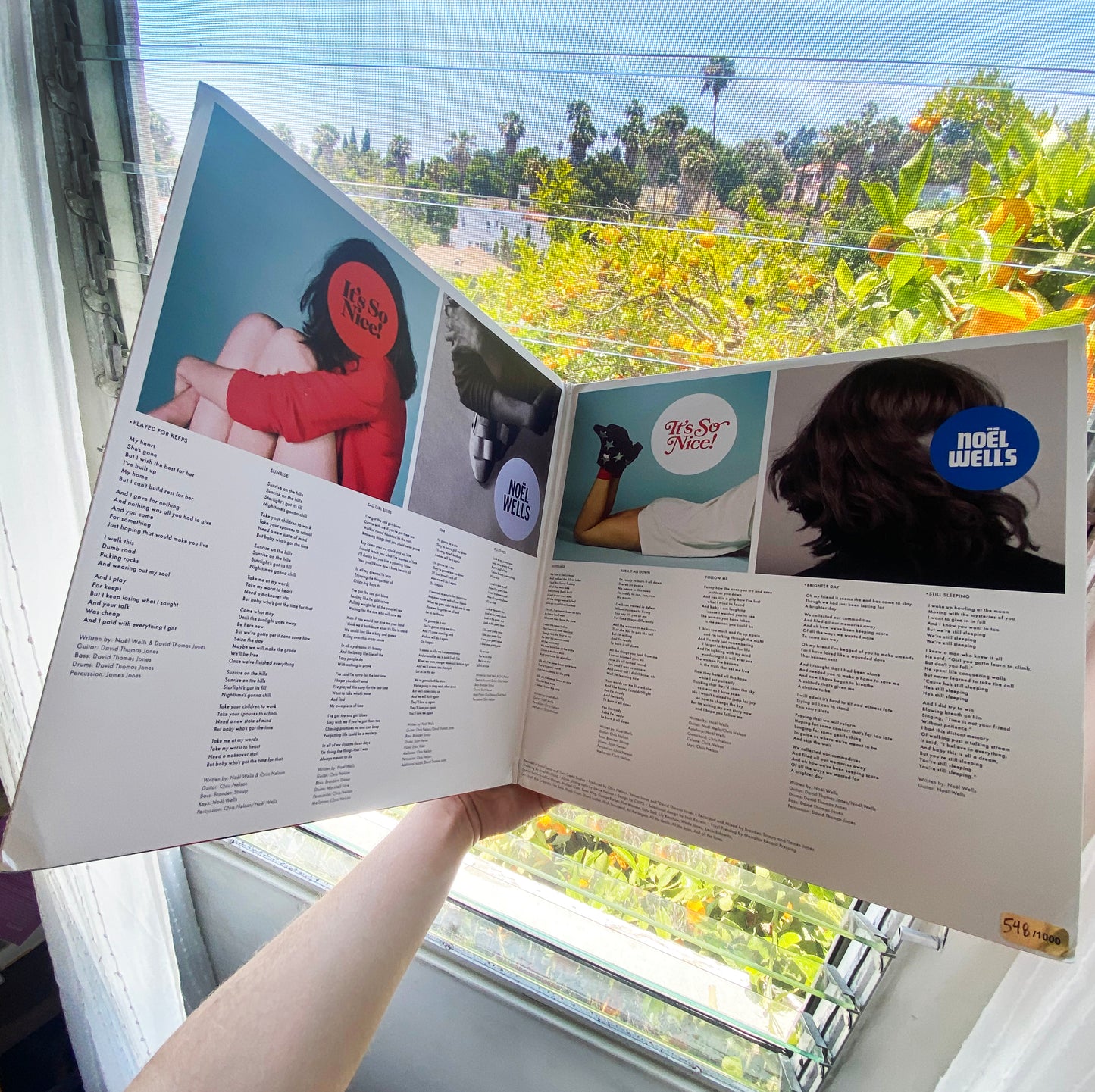 "It's So Nice!" Vinyl