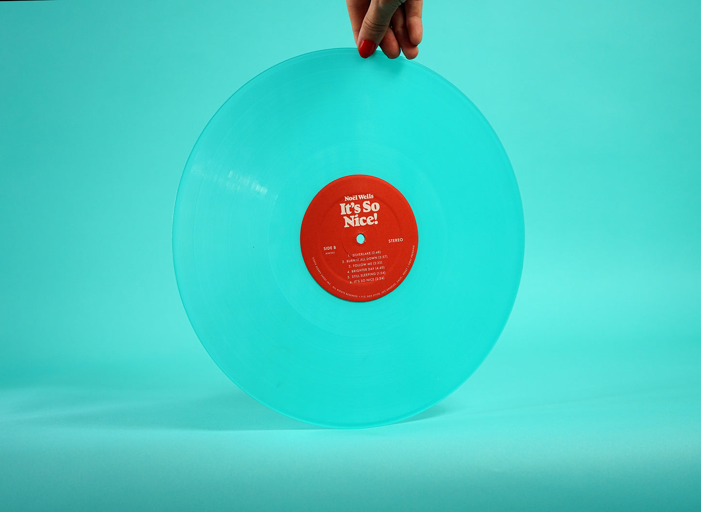 "It's So Nice!" Vinyl