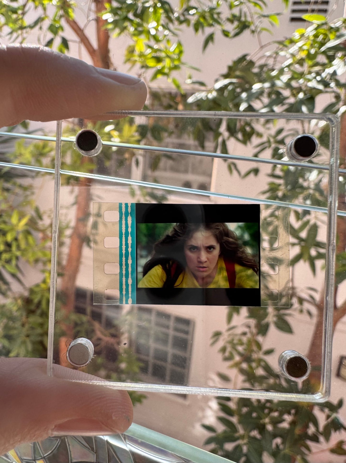 35mm Still from “Mr. Roosevelt” in Light up Keepsake Box